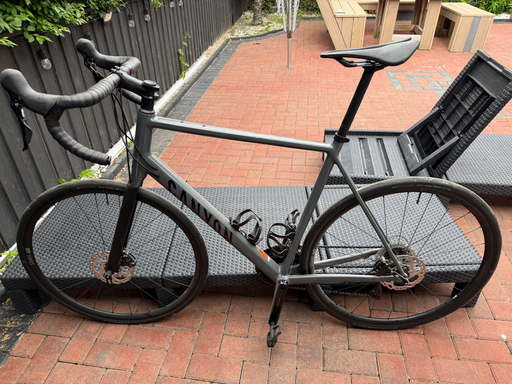 Canyon Endurace 7 RAW 2024