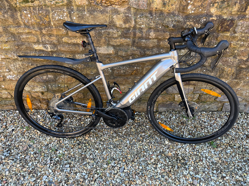 Giant E+2 Pro 2020